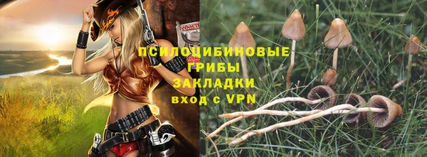марки lsd Абаза