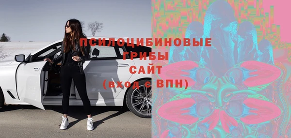 хмурый Алзамай